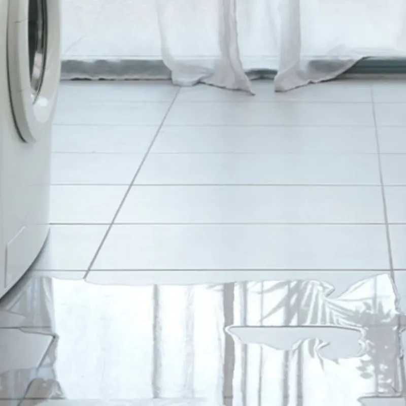Appliance Leak Cleanup in Wilmot, NH
