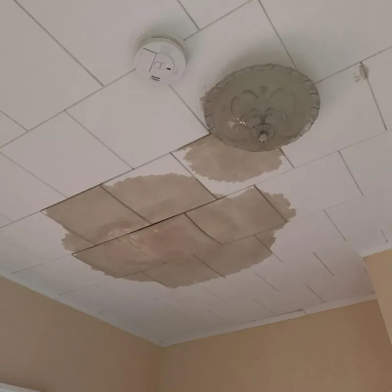 Ceiling Water Damage Repair in Wilmot, NH