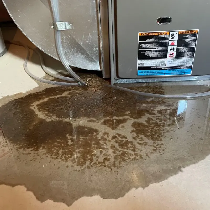 Pipe Burst and Leak Restoration in Wilmot, NH